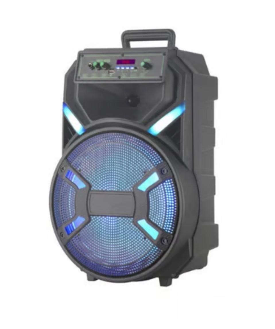 Speaker portable battery 12"