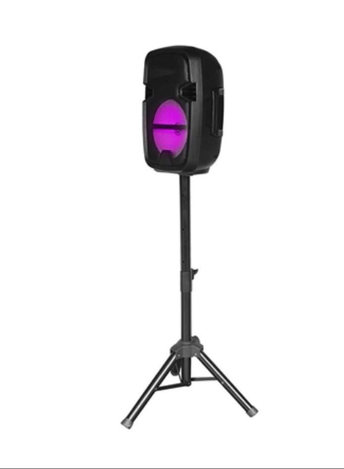 Speaker MISK 15"