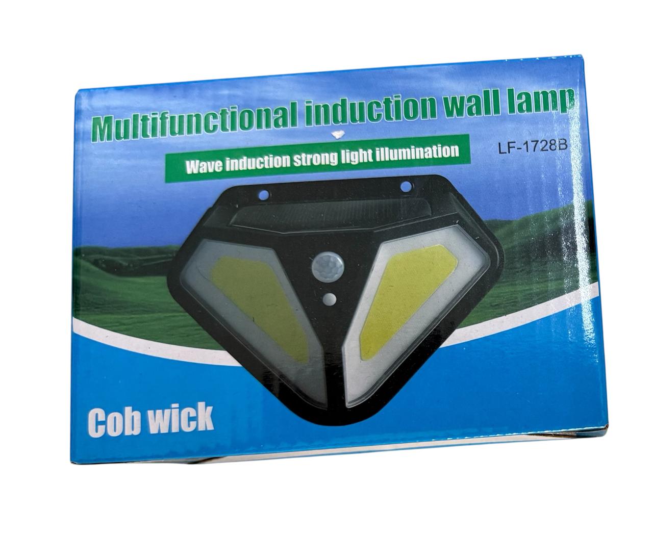 Multifunctional induction wall lamp