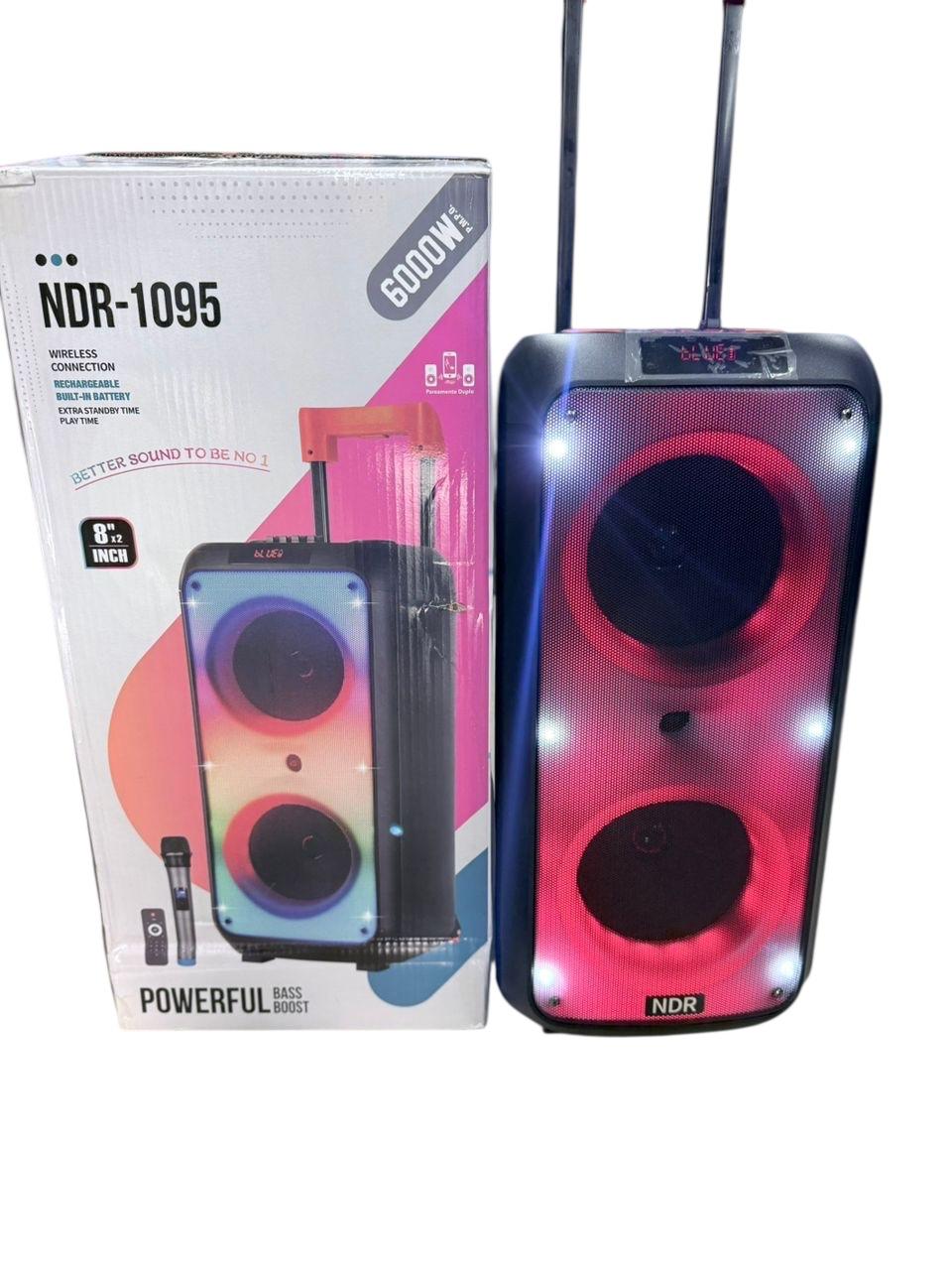 NDR-1095, 8"x2, 6000W, Remote control, wireless microphone, RGB, Rechargeable